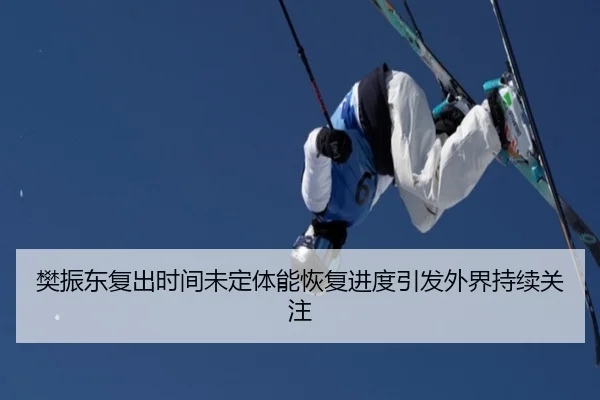 樊振东复出时间未定体能恢复进度引发外界持续关注